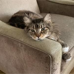 Meet your Posher, Karen